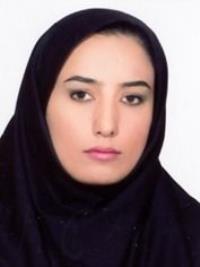 آرام شیخ ویسی نظامی