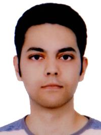 آرین محمدی نژاد