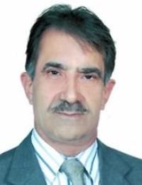 امیر توکلی دینانی