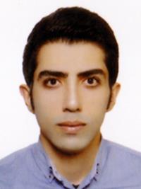 امین رضائی قلعه