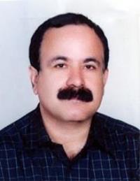 بهاره صفدری