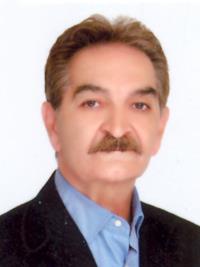 بیژن غلامین