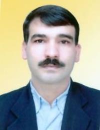 حسن گلرخ گشتی