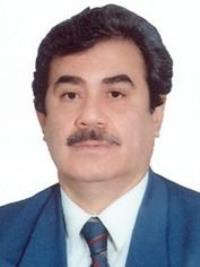 حیدر جوادی