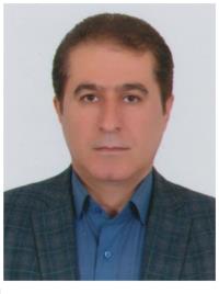 حیدر محمودی چناری