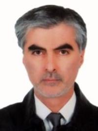 دکتر شهاب الدین میرزایی