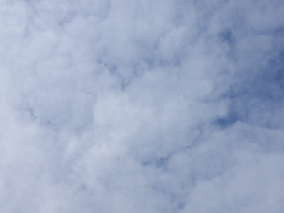 دکتر محسن رییسی