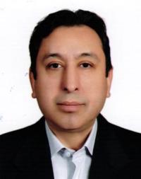 دکتر ناصر پرنیان پور