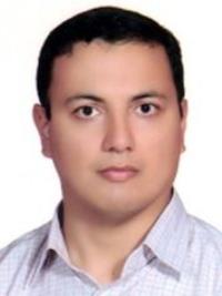 رسول ملاطفی نیاری