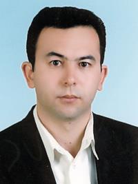 سیدحسین مصطفی نیا