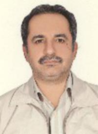 سیدرامین محمدی