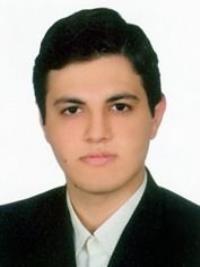 سیدفرزین میرچراغی