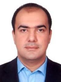 سیدمحسن احمدی