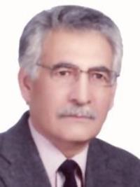 سیدمحمدجواد دانشگر