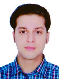 سیدمهدی حسینی بیوکی