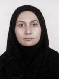 سیده امینه حجتی ذوالپیرانی