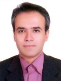 سیده بهاره میرفتحی بازکیائی