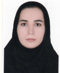 سیده طوبی موسوی نژادسوق