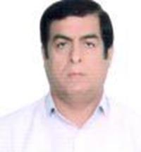 شاهین ضرغامی