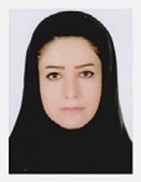 شهرزاد حکمتی