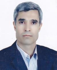 علی فتوحی ملکی