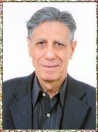 علی نوروزی بختیاری