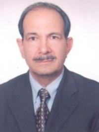 غلامرضا مساحی خالقی