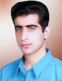 مجتبی احمدی زیویاری