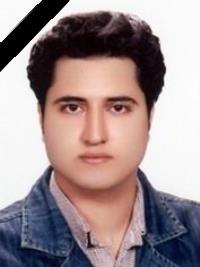 مجتبی ترک صفائی