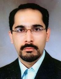 مجتبی ملکی دلارستاقی