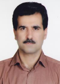 محمدتقی گرجی