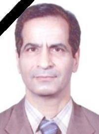 محمدحسن شرفی