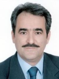 محمدحسین امینی