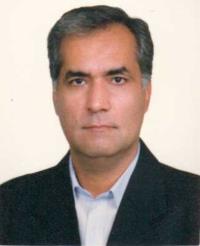 محمدرضا سلطانی حبیب آبادی