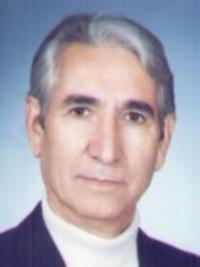 محمدرضا نیشابوری