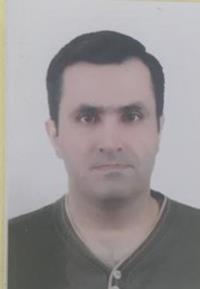 محمد عامریان