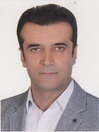 مهدی حمیدیان