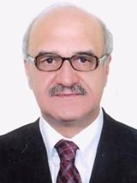 مهران نوربخش