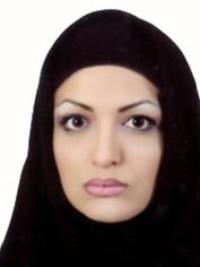 مینا سیدحبشی