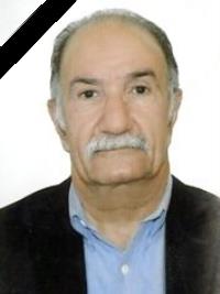 نظام حکیم شوشتری