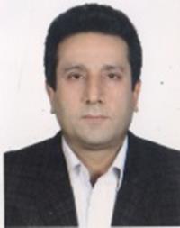 هادی توزنده جانی