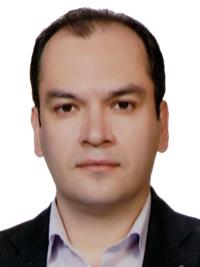 هومن یحیی زاده