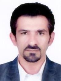 امیر محمدی دهدزی