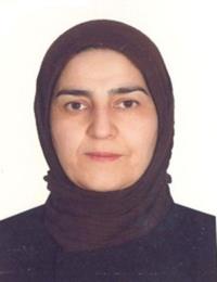 نسرین بازرگان هرندی